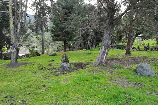 Casa en venta en El Hato, La Calera · foto 10 de 19