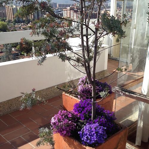 Casa en venta en Gratamira, Bogotá · foto 17 de 21