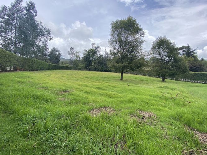 Lote en venta en Paso Real, La Calera, 2797 m² · foto 5 de 11