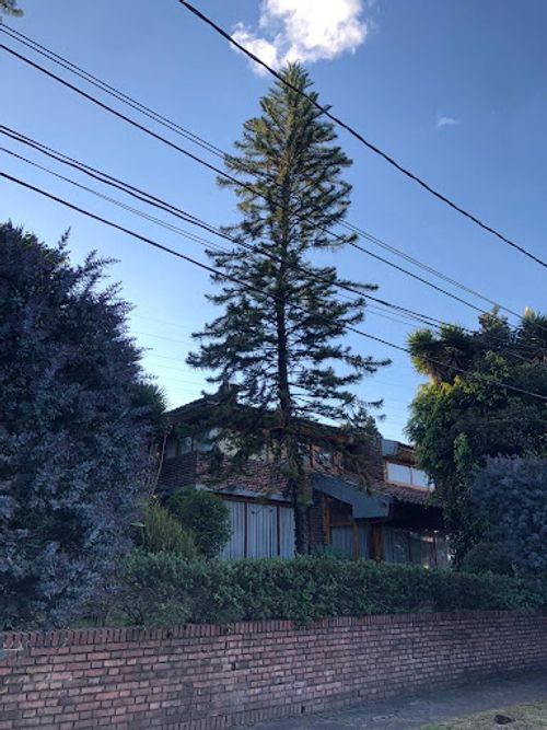 Casa de 5 alcobas en venta en Cerros De Niza, Bogotá, 385 m² · foto 19 de 24