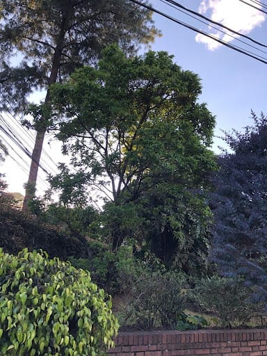 Casa de 5 alcobas en venta en Cerros De Niza, Bogotá, 385 m² · foto 22 de 24