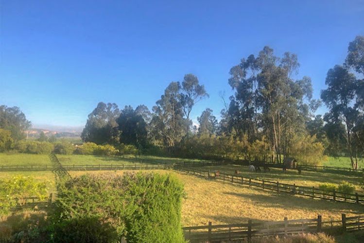 Lote en venta en Cr Alejandria Real Viii, Mosquera, 980 m² · foto 20 de 24