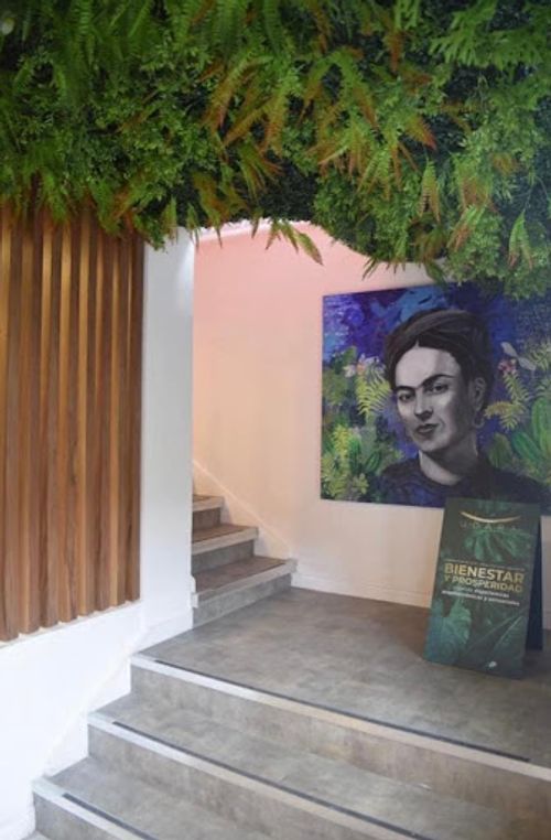 Casa en venta en Quinta Camacho, Bogotá · foto 4 de 13