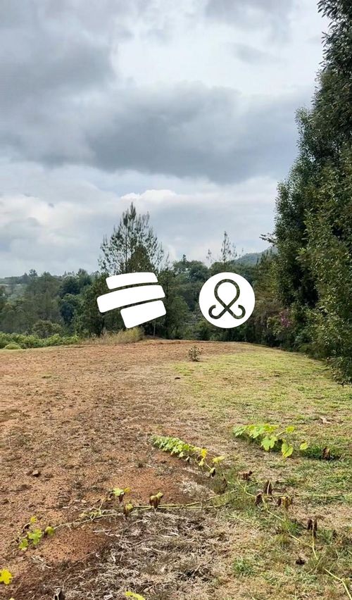 Lote en venta en Guayabito, Rionegro, 11646 m² · foto 2 de 12