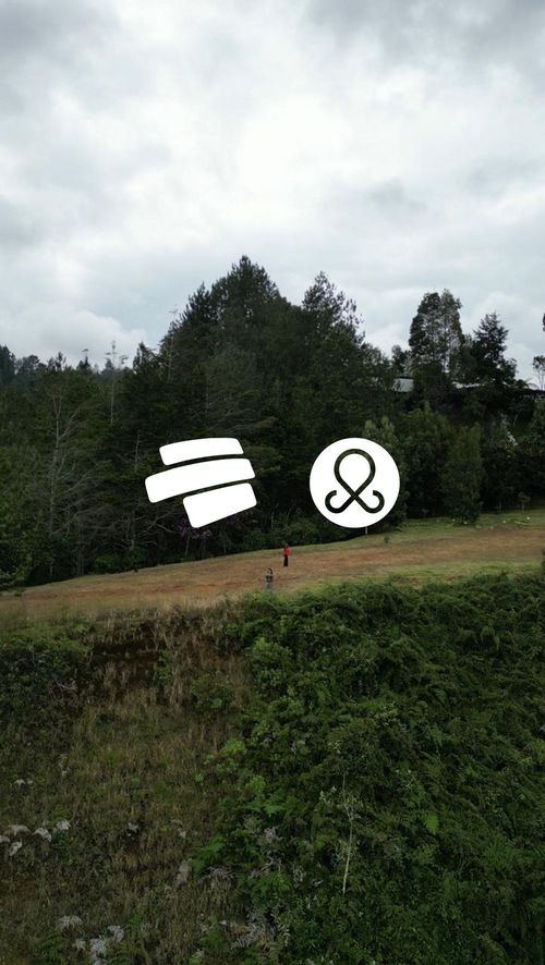 Lote en venta en Guayabito, Rionegro, 11646 m² · foto 3 de 12
