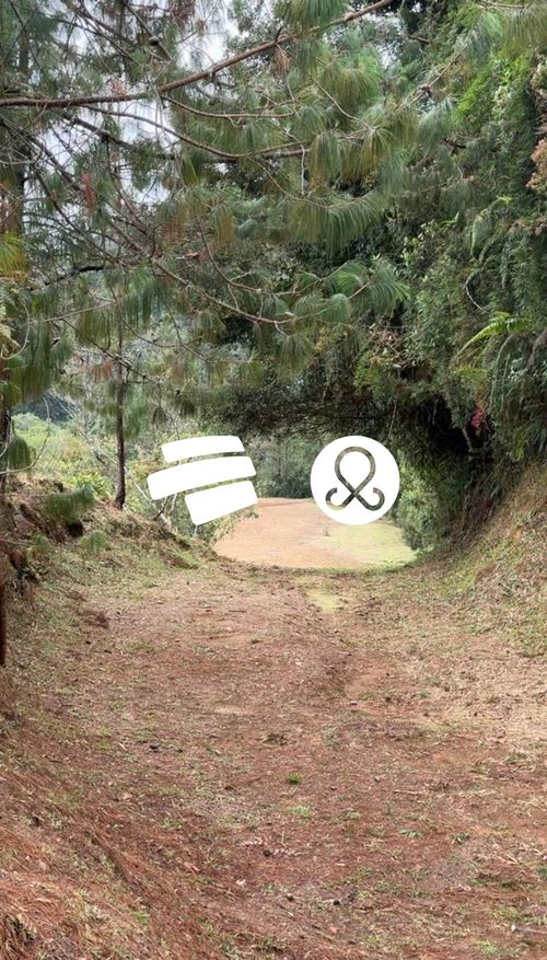 Lote en venta en Guayabito, Rionegro, 11646 m² · foto 4 de 12