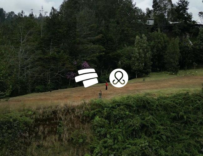 Lote en venta en Guayabito, Rionegro, 11646 m² · foto 9 de 12