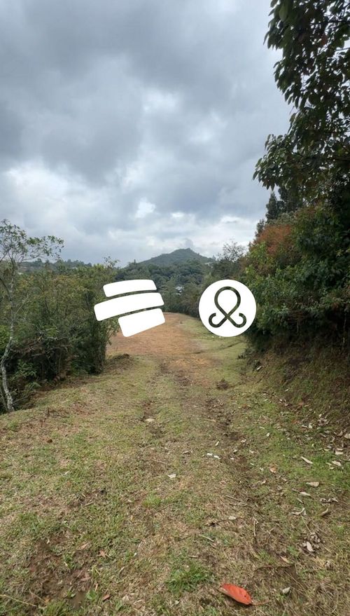 Lote en venta en Guayabito, Rionegro, 11646 m² · foto 11 de 12