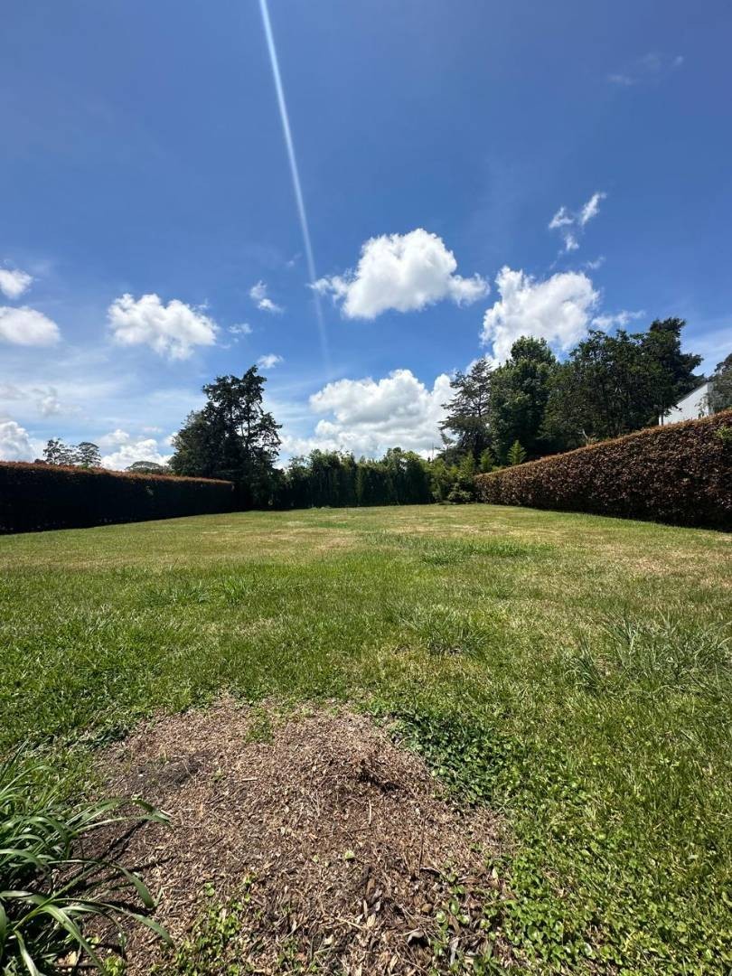Land in Cabeceras de llanogrande (1700 m²) for Sale