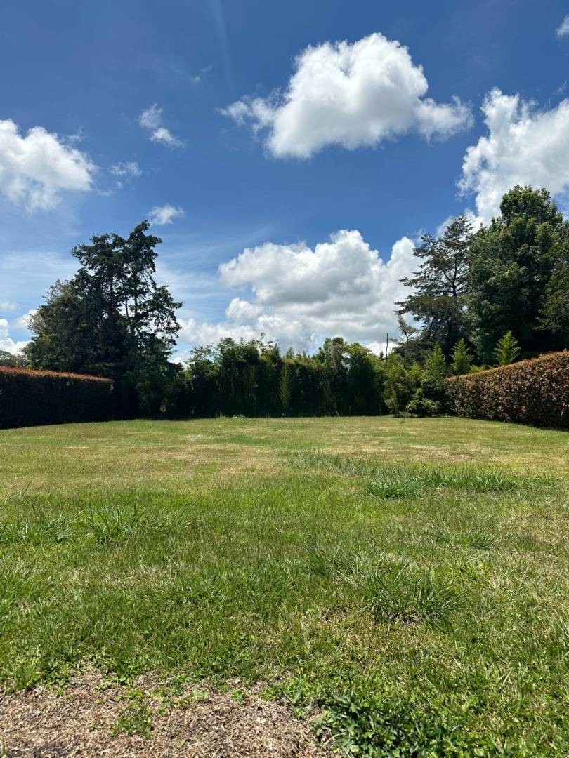 Land in Cabeceras de llanogrande (1700 m²) for Sale - 2