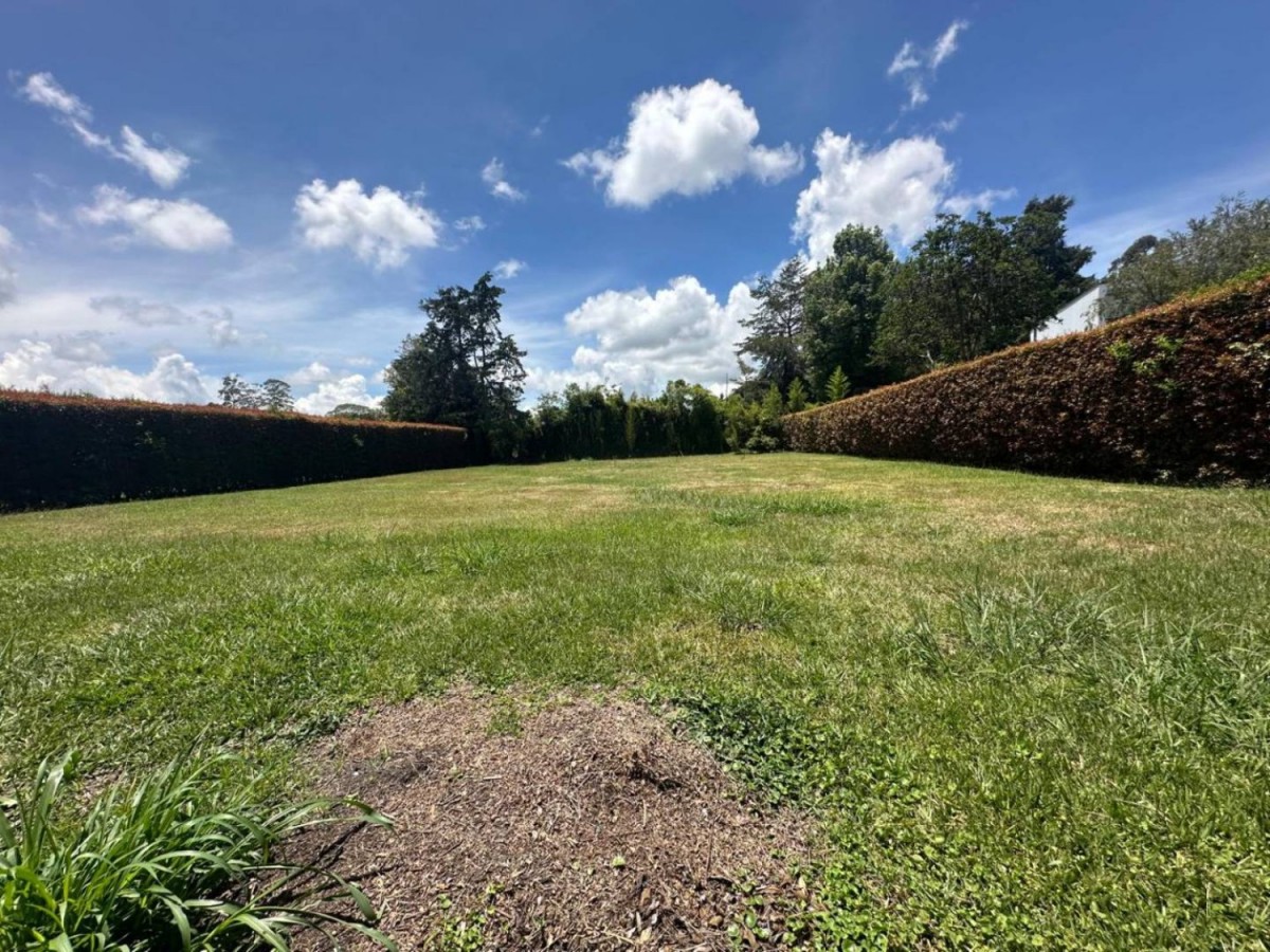 Land in Cabeceras de llanogrande (1700 m²) for Sale - 3