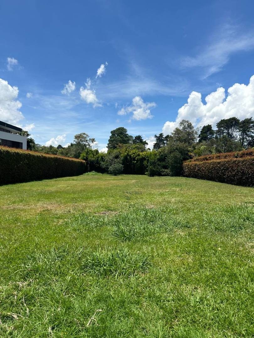 Land in Cabeceras de llanogrande (1700 m²) for Sale - 4