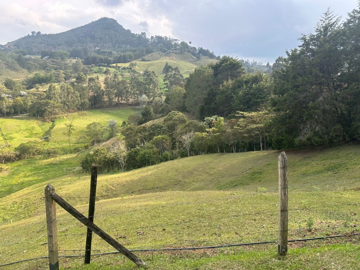 Land in Pontezuela for Sale