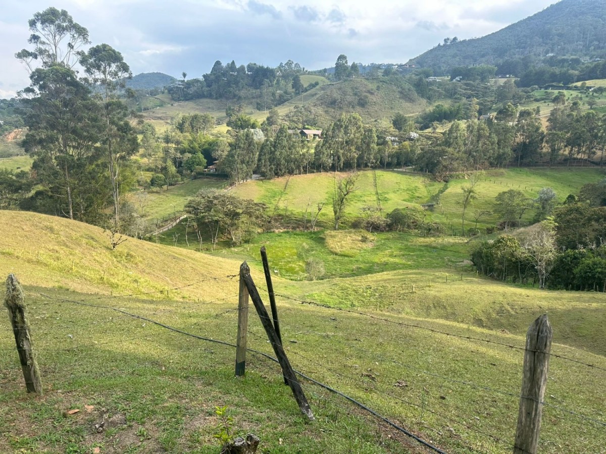 Land in Pontezuela for Sale - 3