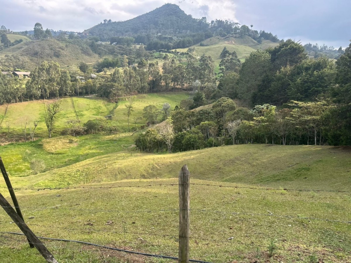 Land in Pontezuela for Sale - 4