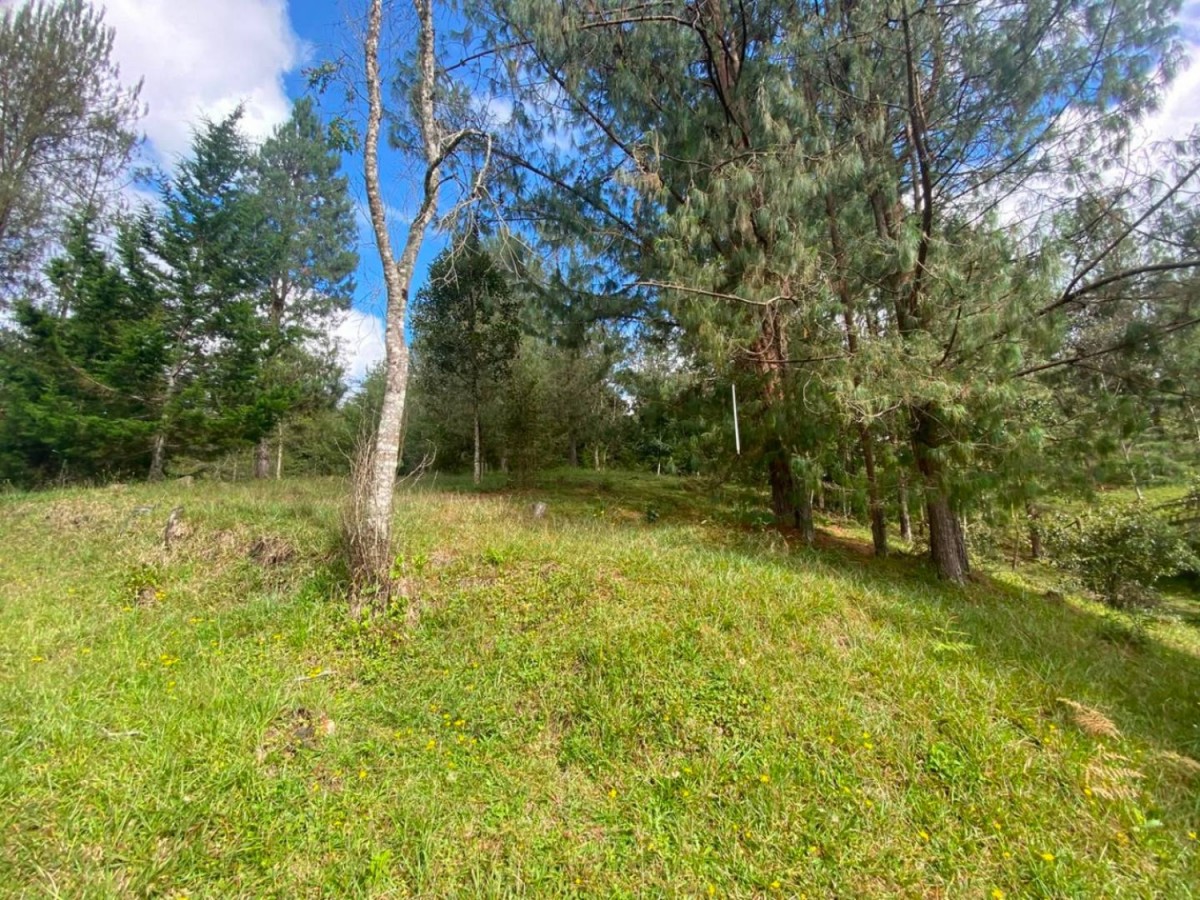 Land in Lejos del nido for Sale - 2