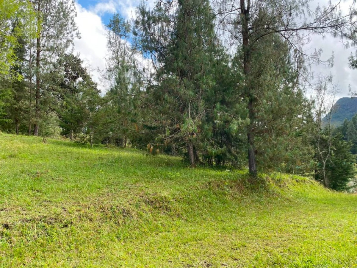 Land in Lejos del nido for Sale - 3