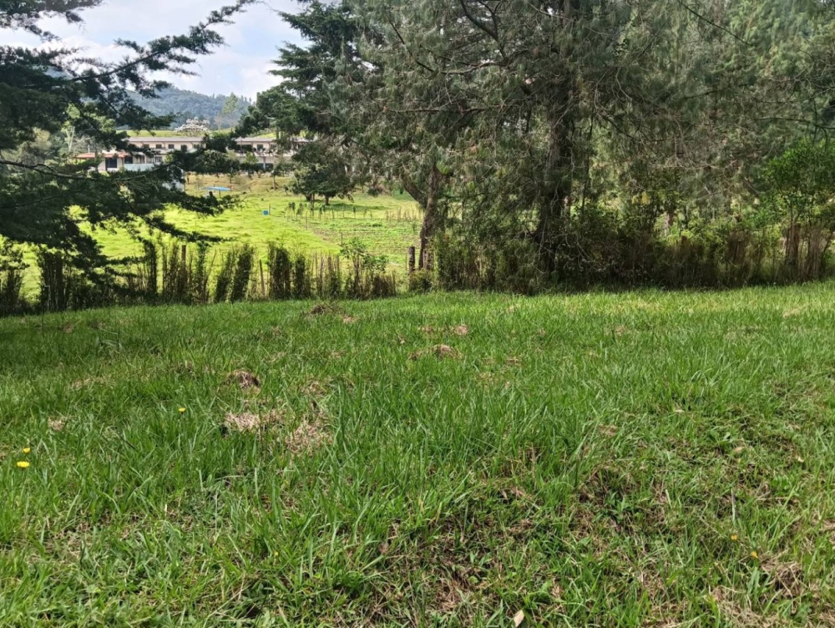Land in Lejos del nido for Sale - 4