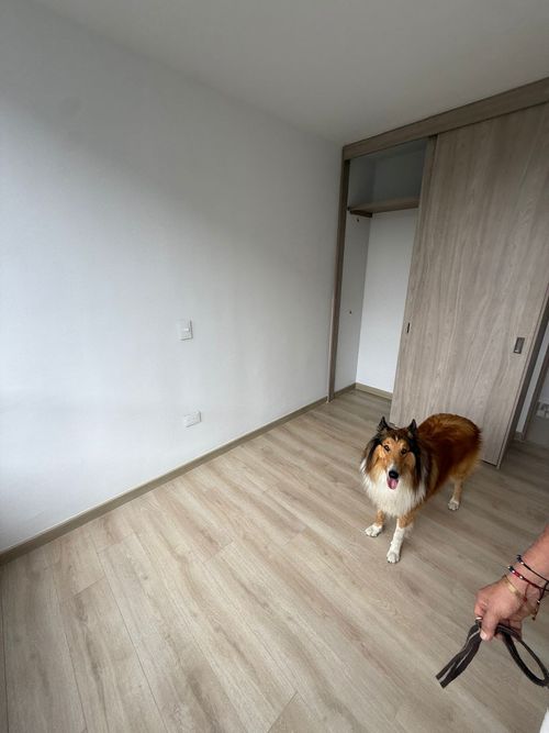Apartamento de 3 alcobas en venta en Cañaveral, Floridablanca, 110 m² · foto 12 de 24
