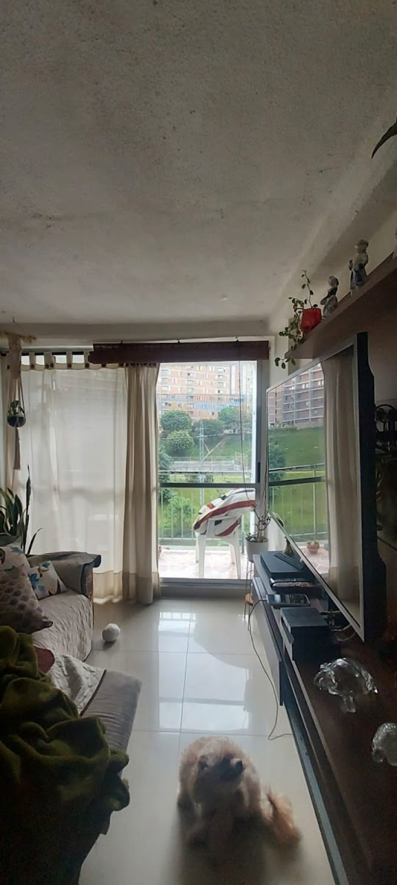 Apartamento en venta en Calasanz, Medellín · foto 2 de 14