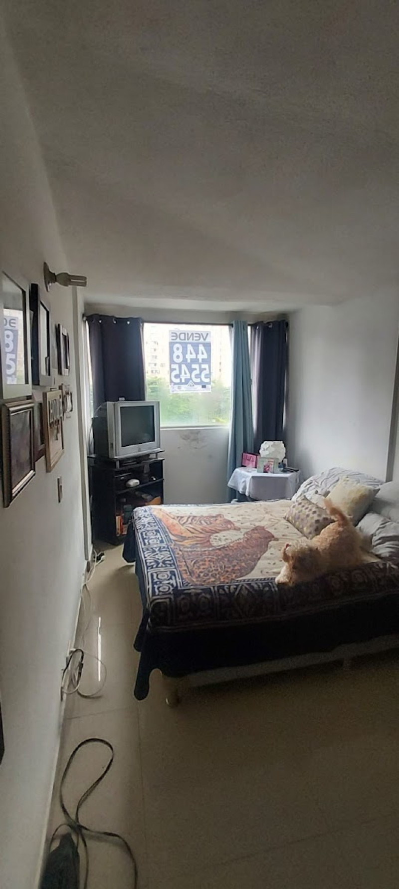 Apartamento en venta en Calasanz, Medellín · foto 10 de 14