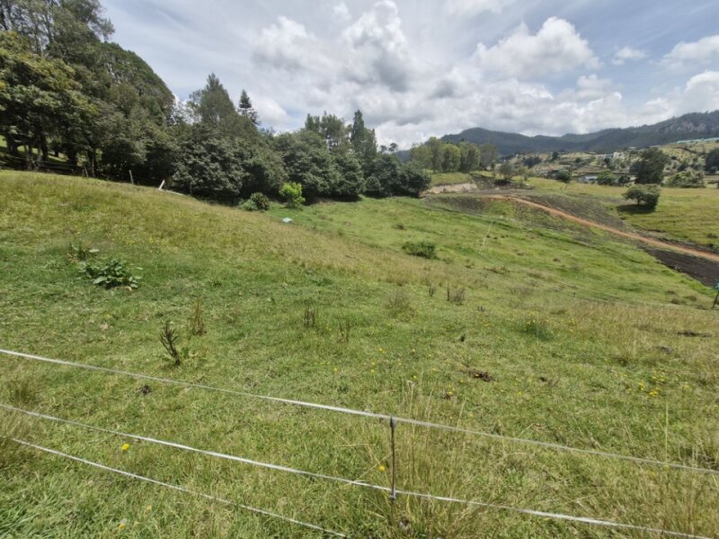 Land in El Portento (2477 m²) for Sale