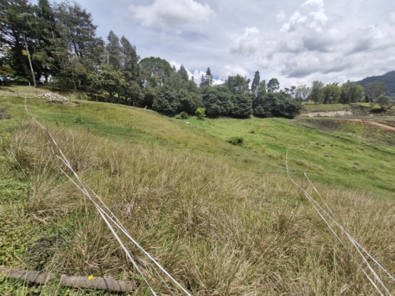 Land in El Portento (2477 m²) for Sale - 3
