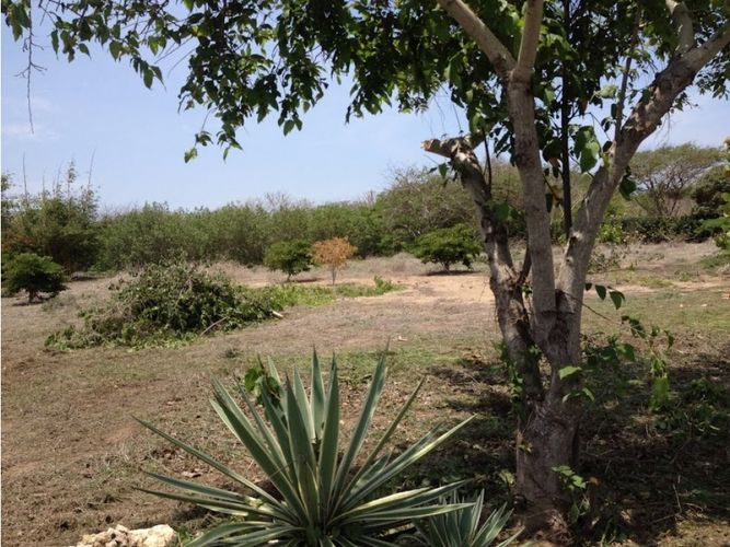 Lote en venta en Cartagena De Indias, Cartagena, 10000 m² · foto 13 de 21