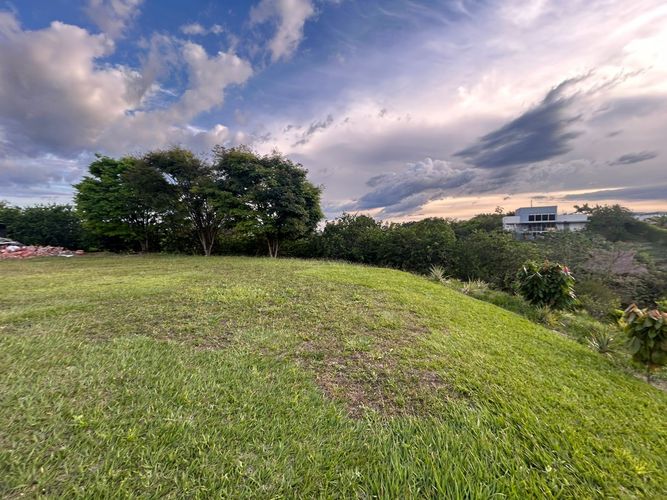 Lote en venta en Pueblito Cafetero, Pereira, 2000 m² · foto 8 de 8