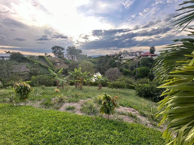 Lote en venta en Pueblito Cafetero, Pereira, 2000 m² · foto 5 de 8