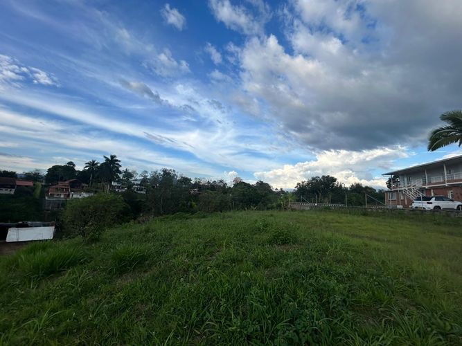 Lote en venta en Pueblito Cafetero, Pereira, 2000 m² · foto 8 de 13