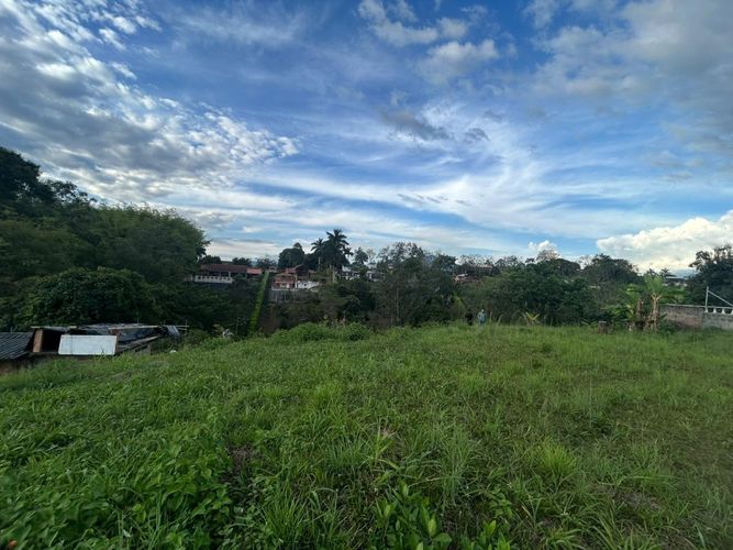 Lote en venta en Pueblito Cafetero, Pereira, 2000 m² · foto 6 de 13