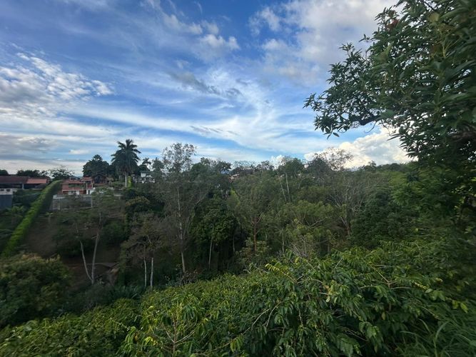 Lote en venta en Pueblito Cafetero, Pereira, 2000 m² · foto 4 de 13