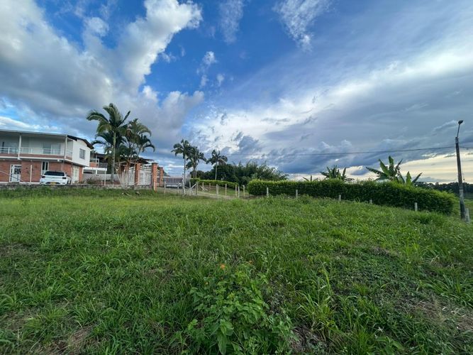 Lote en venta en Pueblito Cafetero, Pereira, 2000 m² · foto 7 de 13