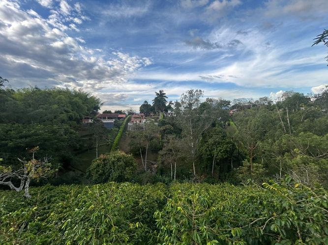 Lote en venta en Pueblito Cafetero, Pereira, 2000 m² · foto 2 de 13