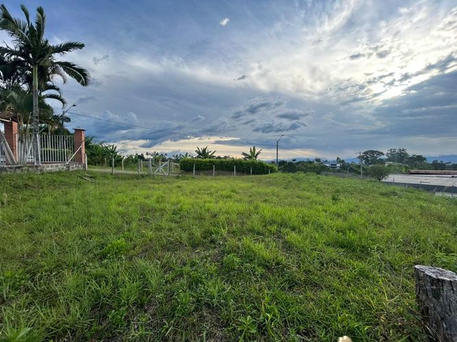 Lote en venta en Pueblito Cafetero, Pereira, 2000 m² · foto 9 de 13