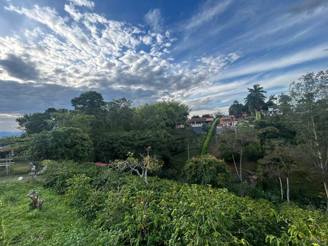 Lote en venta en Pueblito Cafetero, Pereira, 2000 m² · foto 3 de 13