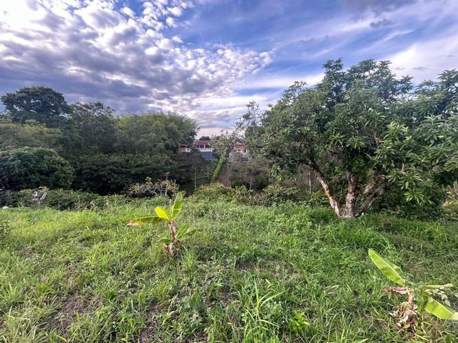 Lote en venta en Pueblito Cafetero, Pereira, 2000 m² · foto 5 de 13