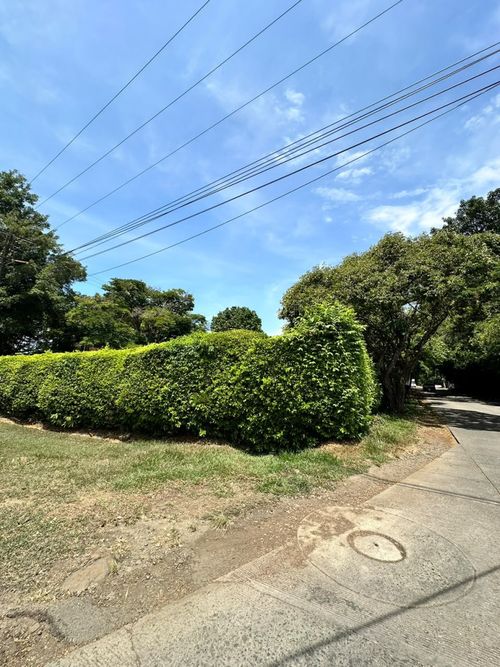Lote en venta en Pance, Cali, 3000 m² · foto 3 de 12
