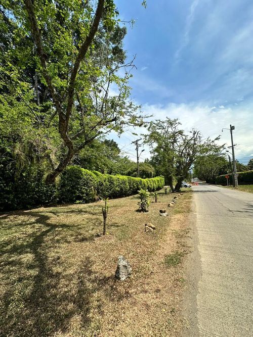 Lote en venta en Pance, Cali, 3000 m² · foto 4 de 12