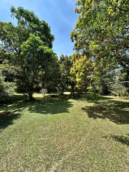 Lote en venta en Pance, Cali, 3000 m² · foto 6 de 12