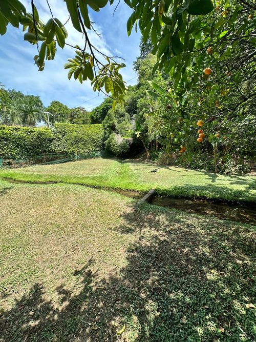 Lote en venta en Pance, Cali, 3000 m² · foto 7 de 12