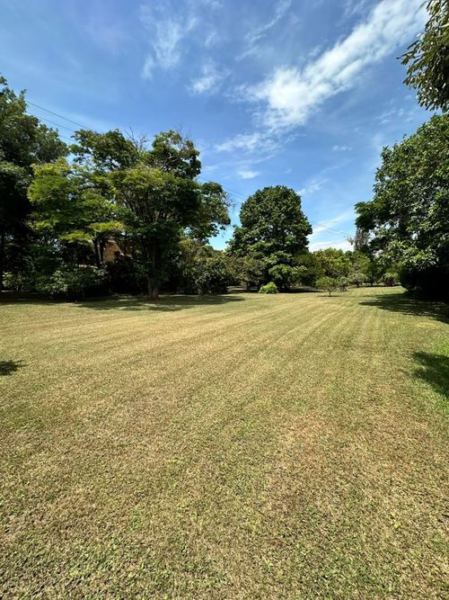 Lote en venta en Pance, Cali, 3000 m² · foto 8 de 12