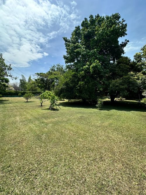 Lote en venta en Pance, Cali, 3000 m² · foto 9 de 12
