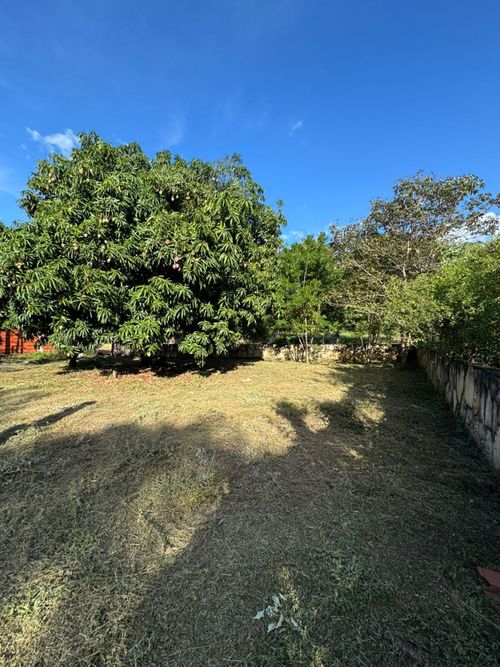 Lote en venta en California, Los Patios, 785 m² · foto 3 de 6