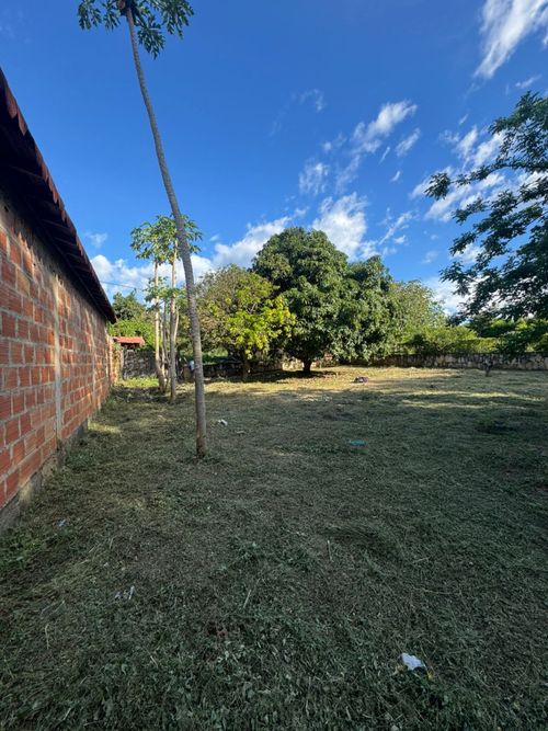 Lote en venta en California, Los Patios, 785 m² · foto 5 de 6