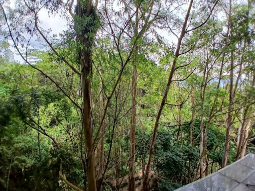 Apartamento en arriendo en Loma De Los Gonzalez, Medellín · foto 21 de 24