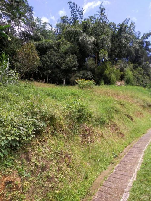Lote en venta en Vereda La Doctora, Sabaneta, 1114 m² · foto 3 de 3