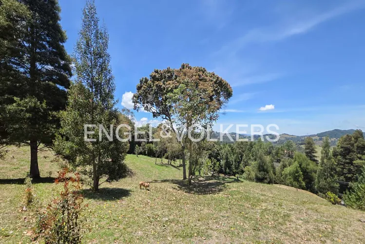 Lote en venta en Las Palmas, Envigado · foto 11 de 13