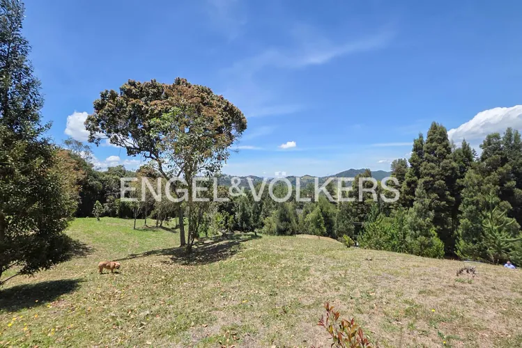 Lote en venta en Las Palmas, Envigado · foto 10 de 13